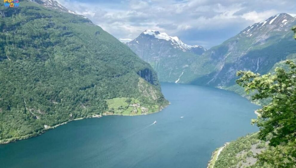 Why is Nerwey Trending