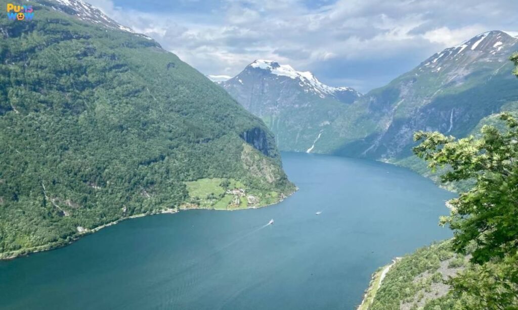 Why is Nerwey Trending